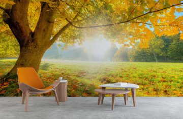 autumn-sunshine-wall-mural-lounge