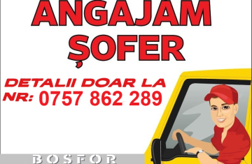 sofer-2