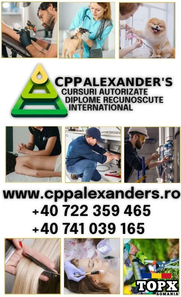 Curs tatuator